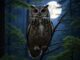 A great horned owl perched on a branch at night with a full moon.