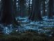 A dark forest floor glowing with ethereal blue lights resembling fireflies.