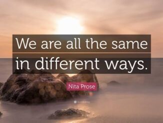 Quote on rocks by the sea.