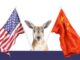 Kangaroo flanked by U.S. and China flags