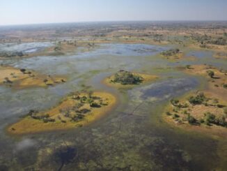 Aerial view of wetland landscape and islands.