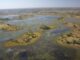 Aerial view of wetland landscape and islands.