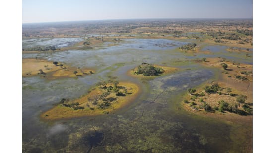 Aerial view of wetland landscape and islands. Aerial view of wetland landscape and islands.