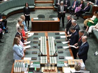Politicians standing in a parliamentary chamber session.