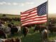 American flag waving in field with cows.