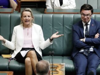 Politicians in discussion during a parliamentary session.
