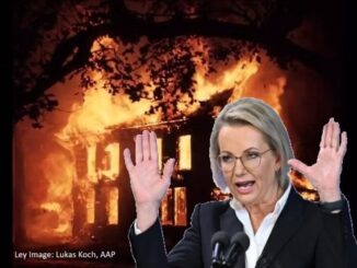 A house engulfed in flames, person gesturing.