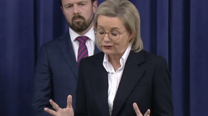 Woman speaking at a press conference, man listening.