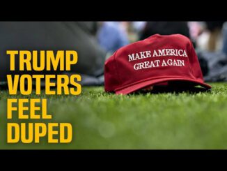 Red hat on grass, "Trump voters duped.