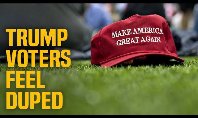 Red hat on grass, "Trump voters duped.