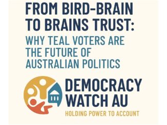 Democracy Watch AU political poster about teal voters.