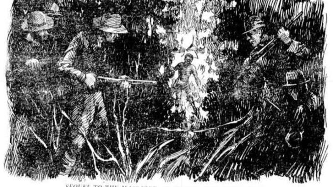 Hunters aiming guns in dense forest scene.