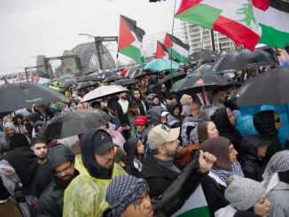 Crowd with umbrellas and flags at demonstration.