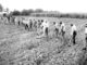 Workers farming in a field with tools.