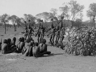 Indigenous group performing traditional dance outdoors.
