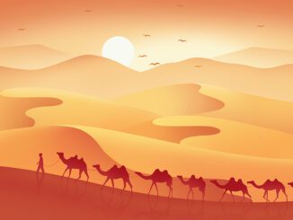 Desert scene with camels and sunset.
