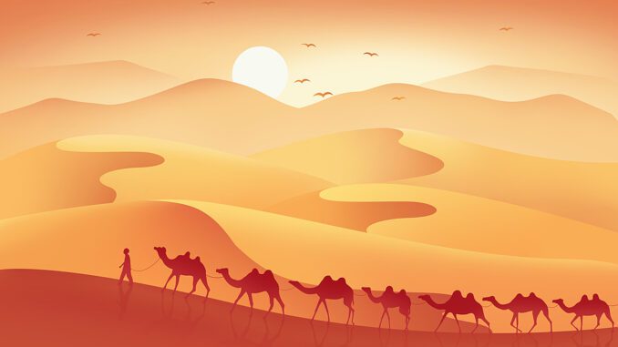 Desert scene with camels and sunset. Desert scene with camels and sunset.