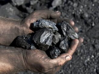 Hands holding pieces of black coal.