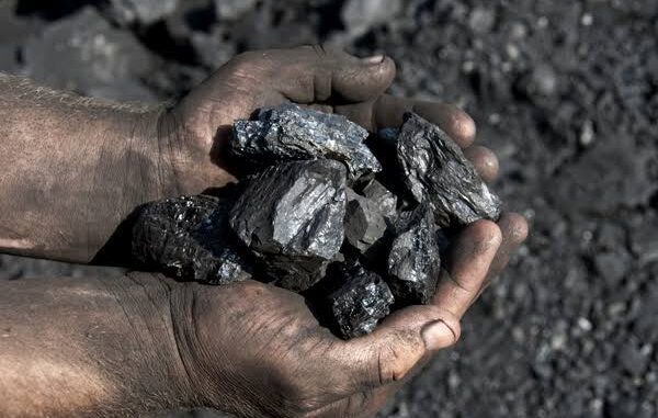 Hands holding pieces of black coal.