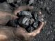 Hands holding pieces of black coal.