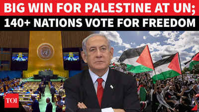 UN vote supports Palestine; large crowd celebrates.