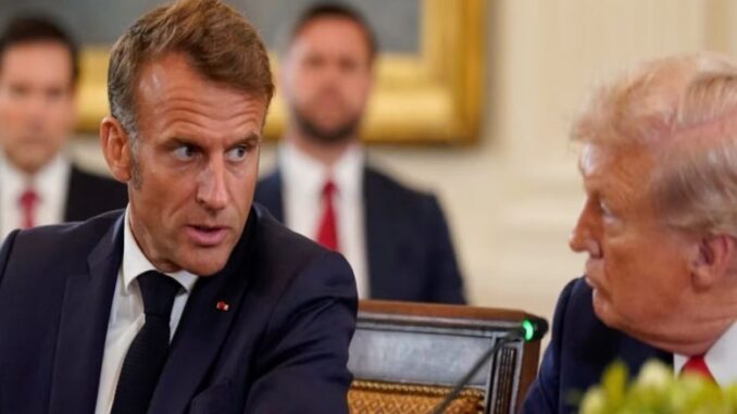 Two men in a formal meeting discussion. Two men in a formal meeting discussion.