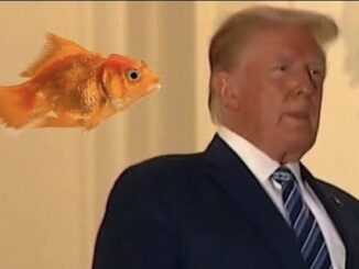 Man in suit with floating goldfish nearby.