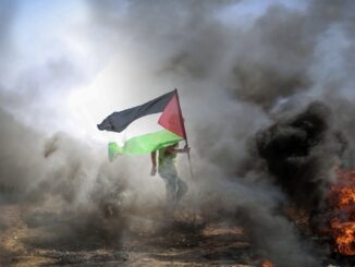 Protester holds Palestinian flag amid smoke and fire.