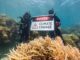 Divers hold "Danger! Climate Change" sign underwater.