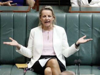 Person speaking with hands raised in discussion.