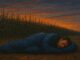 Man sleeping by cornfield at sunset.