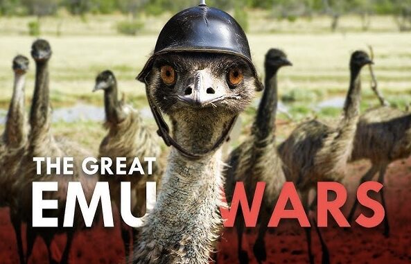 Emu wearing helmet with "The Great Emu Wars".