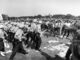 Police confronting protesters in a park.