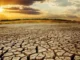 Cracked dry earth under a setting sun.