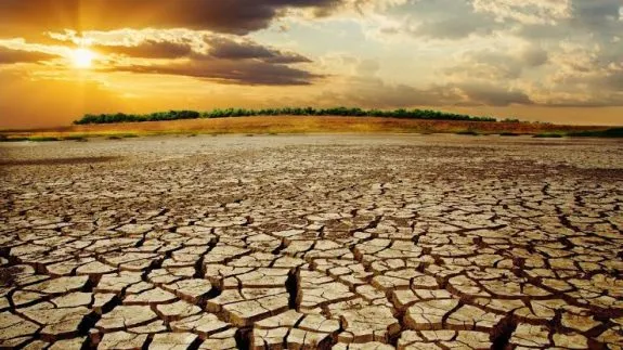 Cracked dry earth under a setting sun. Cracked dry earth under a setting sun.