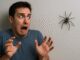 Man scared of large spider on wall.