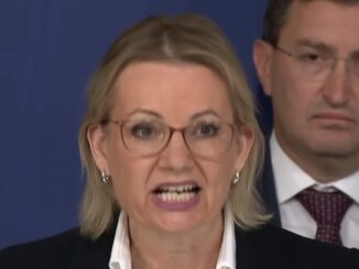 Woman speaking at a press conference.