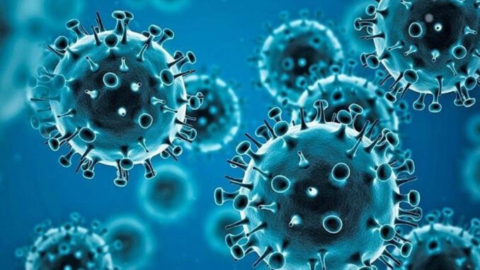 Blue virus cells under a microscope. Blue virus cells under a microscope.