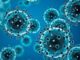 Blue virus cells under a microscope.
