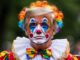 Clown with colorful wig and face paint.