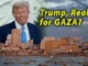 Man with text "Trump, Realtor for GAZA?