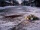 Flowers and candles on snowy street.