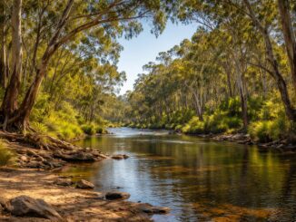 Forest river with trees and clear sky.