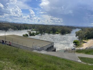 River flooding near a building and trees.