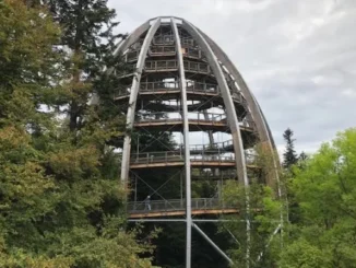 Wooden treetop walkway amidst lush green trees.
