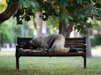 Person sleeping on a park bench.