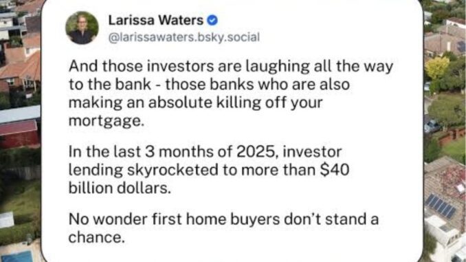 Tweet criticizing investor lending and housing market. Tweet criticizing investor lending and housing market.