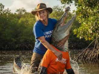 Person wrestling alligator in swampy water.