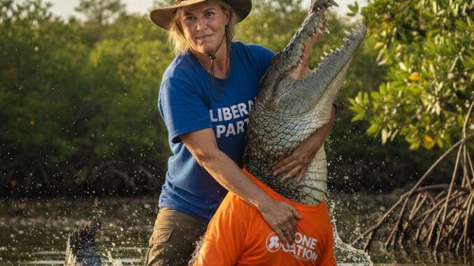 Person wrestling alligator in swampy water.