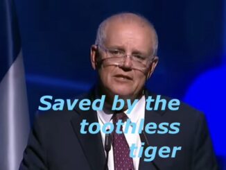 Man speaking with "Saved by the toothless tiger.